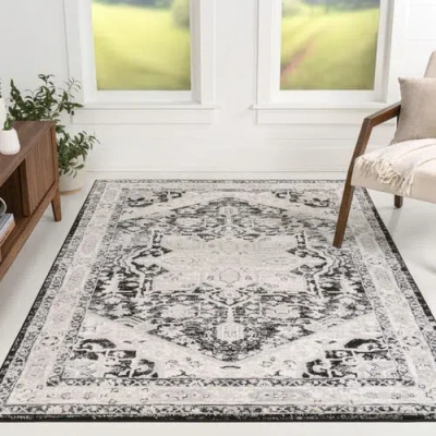 Jonathan Y Modern Persian Vintage Medallion Area Rug In Gray
