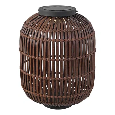 Jonathan Y Nara 20.5" Modern Global Faux Rattan Integrated Indoor/outdoor Led Solar Powered Lantern In Dark Brown,black