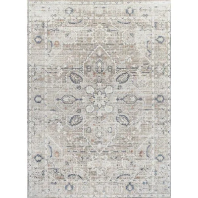 Jonathan Y Shaii Global Medallion Low-pile Machine-washable Area Rug In Light Gray/brown