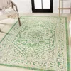 Jonathan Y Sinjuri Medallion Textured Weave Indoor/outdoor Area Rug In Green