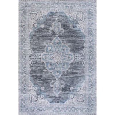 Jonathan Y Wincer Chenille Cottage Medallion Machine-washable Area Rug In Gray/blue/white
