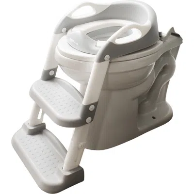 Jool Baby Potty Training Seat With Step Ladder In Gray