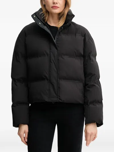 Joop Olimpia Padded Jacket In Black