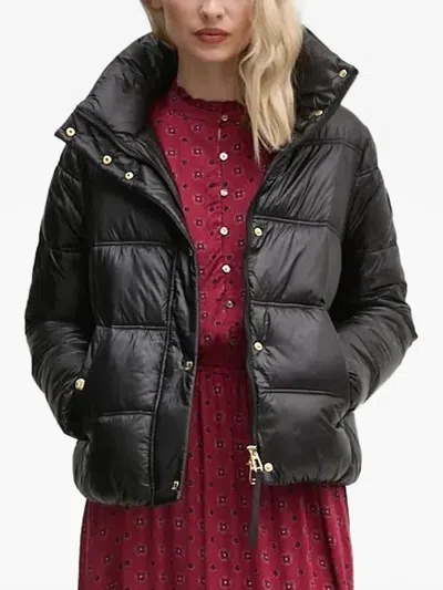 Joop Quilted Hooded Jacket In Black