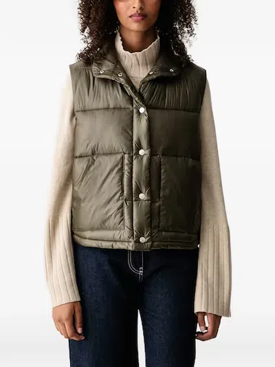Joop Quilted Puffer Gilet In Brown