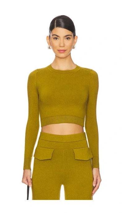 Joostricot Long Sleeve Crop Top In Cardamon