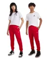 Jordan Boys  Brooklyn Fleece Pants In Gym Red