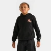 Jordan Big Kids Aj Has Landed Pullover Hoodie In Black