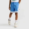 Jordan Big Kids Dri-fit Diamond Mesh Basketball Shorts In Blue