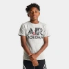 Jordan Big Kids Flight T-shirt In Gray