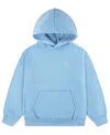 Jordan Brooklyn Fleece Big Kids' Pullover Hoodie In Blue