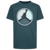 Jordan Boys  Air  Hbr Ring Short Sleeve T-shirt In Oxidized Green/black
