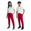 Jordan Boys  Brooklyn Fleece Pants In Red