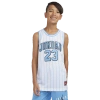 Jordan Boys   Aj 23 Aop Jersey In White/university Blue