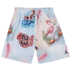 Jordan Kids' Dri-fit Flamingo Print Mesh Shorts