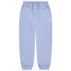 Jordan Boys   G Brooklyn Fleece Pant In Blue