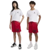Jordan Boys   Mesh Pe Shorts