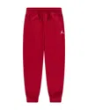 Jordan Boys  Brooklyn Fleece Cargo Pants In Burgundy