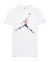Jordan Boys' Watercolor Jumpman Graphic Tee - Big Kid In White