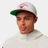 Jordan Chicago Bulls Nba Pro Snapback Hat In White