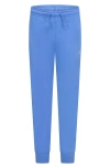 Jordan Kids' Brooklyn Fleece Joggers In Blue
