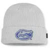 Jordan Men's Florida Utility Off-field  Brand College Cuffed Beanie