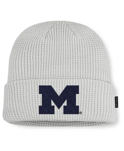 Jordan Men's Gray Michigan Wolverines 2025 On-field Utility Cuffed Knit Hat