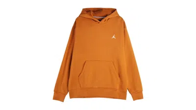 Pre-owned Jordan Men's  Brooklyn Fleece Pullover Hoodie In Brown