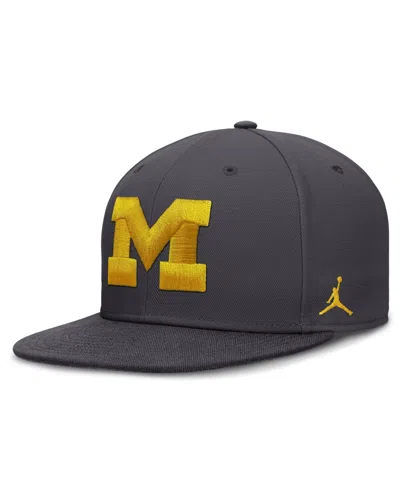 Jordan Men's Nike Anthracite Michigan Wolverines Pro Dri-fit Fitted Hat In Black