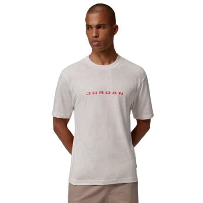 Jordan Mens Brooklyn Lsr Graphic Short Sleeve Crew In Gray