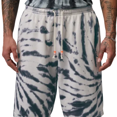 Jordan Mens  Brooklyn Festival Td Fleece Shorts In Multi