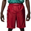 Jordan Mens  Essentials Cat Scratch Shorts