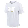 Jordan Michigan Wolverines Statement Max90 Nike Men's College T-shirt In White