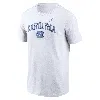 Jordan Nike Men's College T-shirt North Carolina Tar Heels Blitz In White