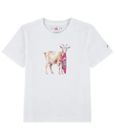 Jordan Kids' Toddler And Little Boys Flight Goat Print T-shirt In Gray