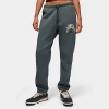Jordan Women's  Brooklyn Fleece Realtree Pants In Gray