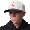 Jordan Pro Structured Cap In Multi