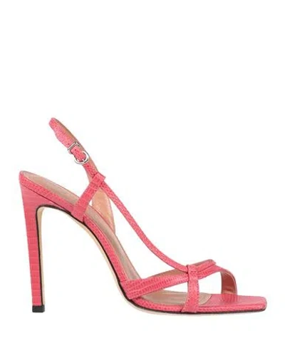 Jorgeenah Woman Sandals Fuchsia Size 8 Leather In Pink