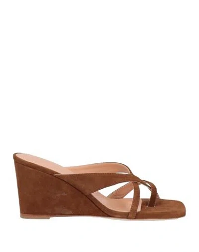 Jorgeenah Woman Thong Sandal Brown Size 11 Leather