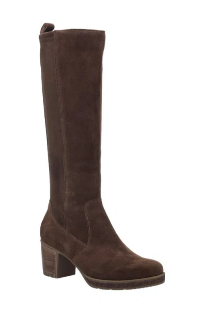 Josef Seibel Gloria 03 Knee High Boot In Brown