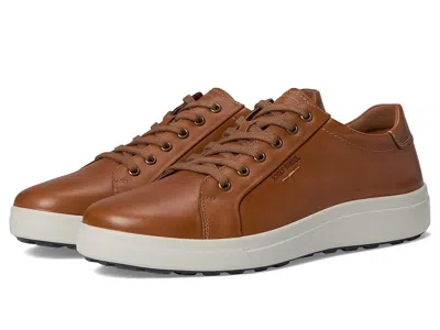 Josef Seibel Maddox 05 In Brown