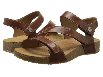 Josef Seibel Tonga 25 In Brown