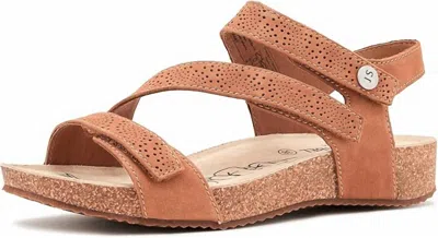Josef Seibel Tonga 78 In Brown