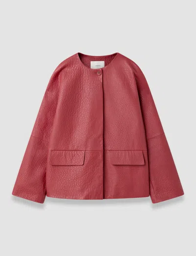 Joseph Barbs Pebble Leather Jacket In Pink