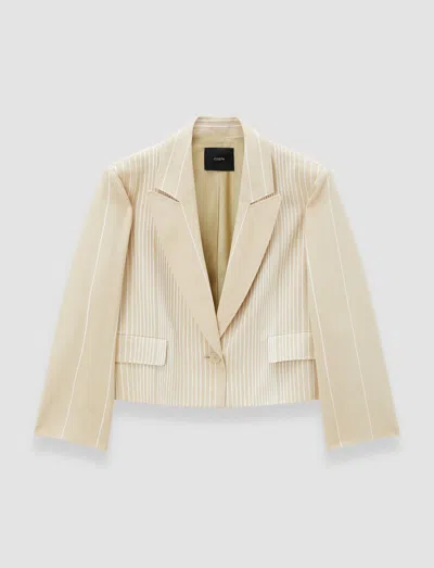Joseph Berlier Embroidered Stripes Jacket In Neutral