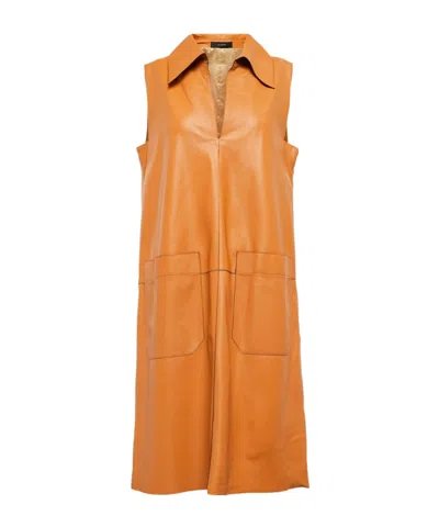 Joseph Nappa Leather Berwick Dress In Caramel