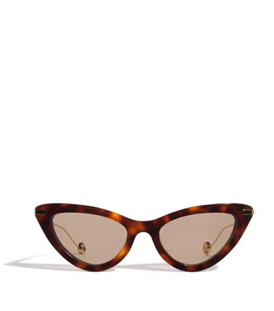 Joseph Cat Eye Laarous Sunglasses In Brown