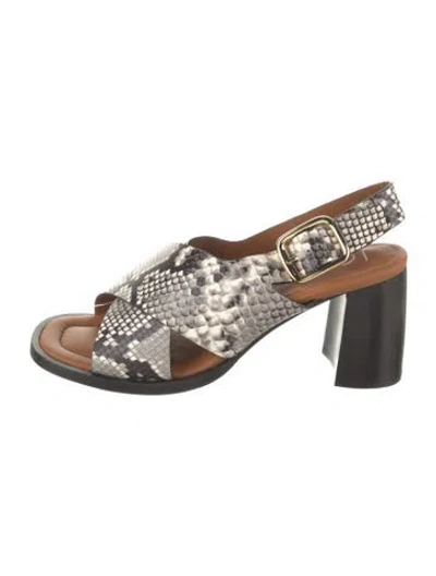 Pre-owned Joseph Embossed Leather Animal Print Slingback Pumps In Black