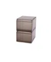 Joseph Joseph Showcase Premium Shoe Storage Box With Slide-out Shoe Tray, Pack Of 2 In Grey