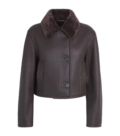 Joseph Leather-shearling Liri Jacket In Brown